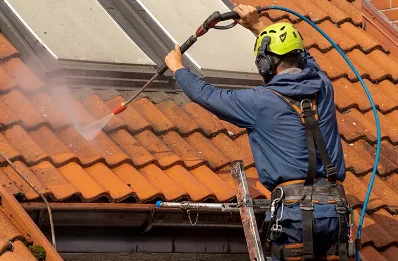 Démoussage et hydrofuge de toiture aux Champs-Géraux